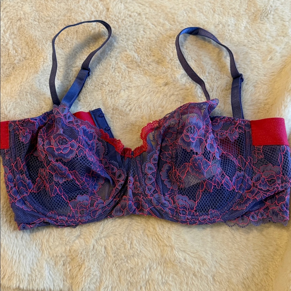 Passionata Lace Women's Bra in Purple and Pink